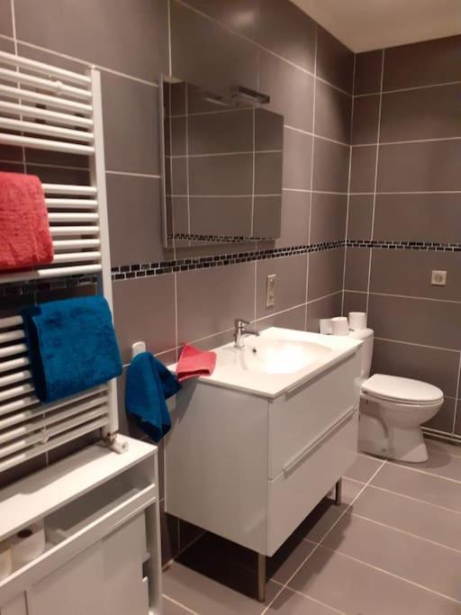Appartement Hyper-Centre Issoire Buitenkant foto